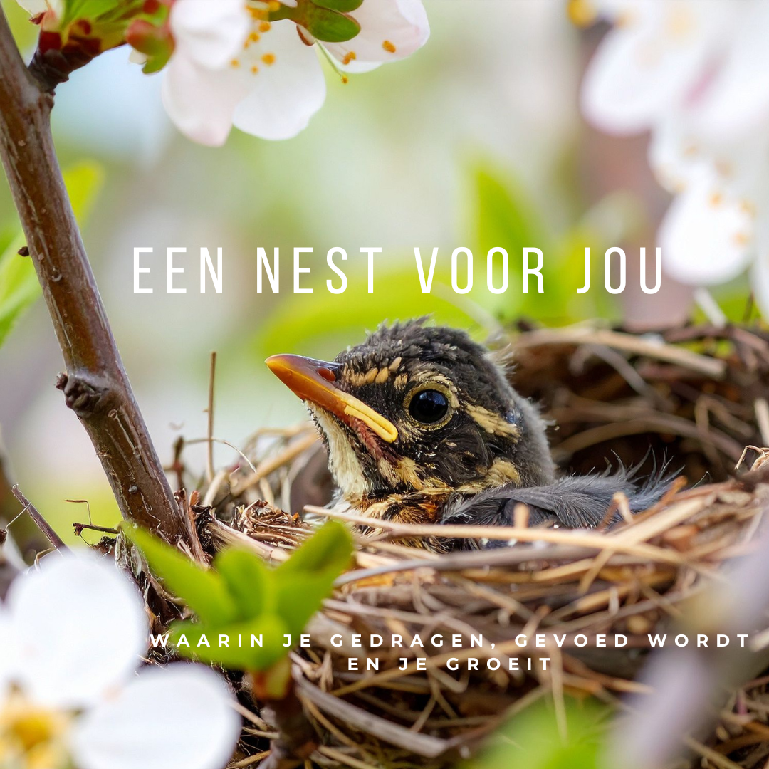 Zelfheling- nest 1